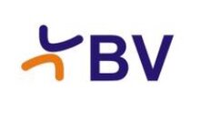 BVB_logo.jpg